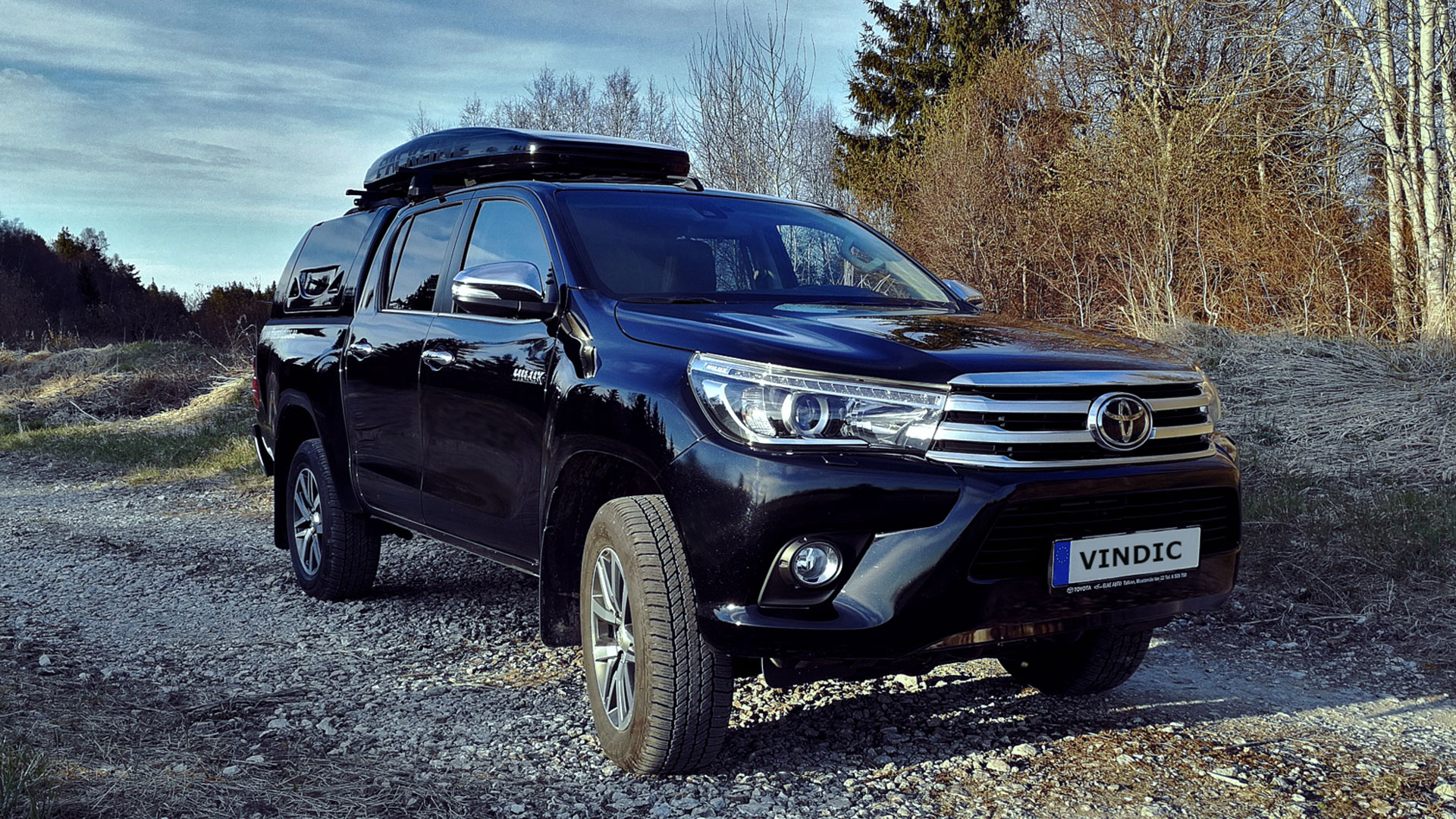 Carousel_Vindic-by-Victorius_4